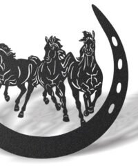 Horseshoe