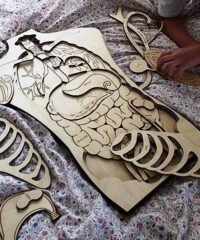 Human anatomy