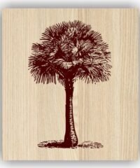 Palm