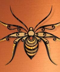 Spider