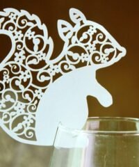 Squirrel cup accessories