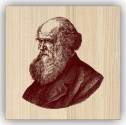 Charles Robert Darwin Charles Robert Darwin