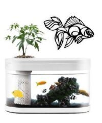Fish wall decor