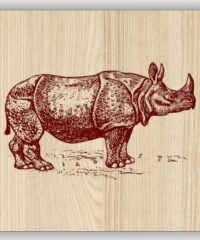 Hippopotamus