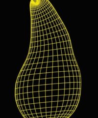 3D illusion led lamp Pear