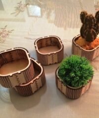 Cactus pot