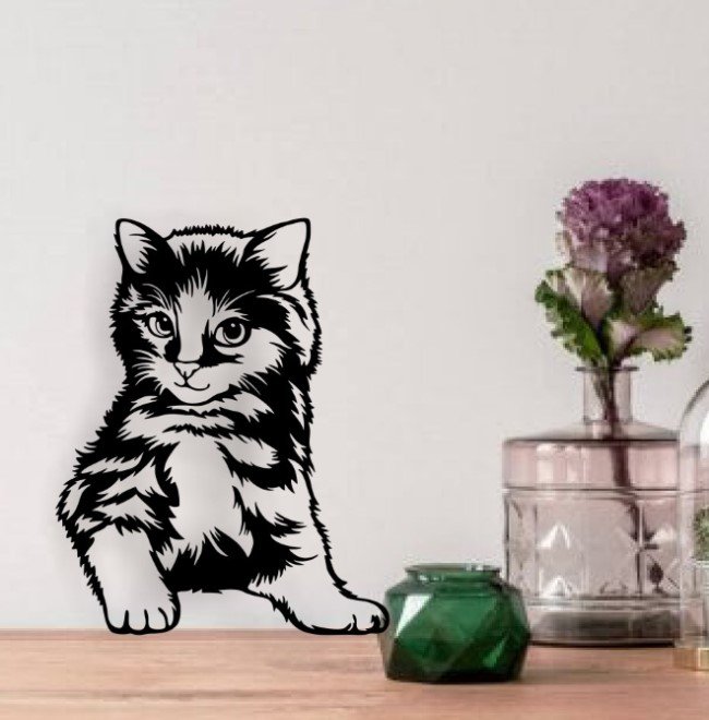 Cute cat