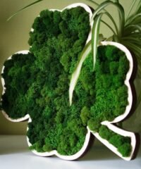 Four leaf clover