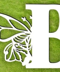 Letter B with butterfly