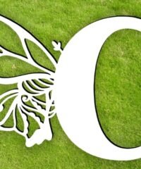 Letter C with butterfly