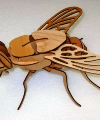 3D fly tempates