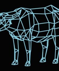 3D illusion led lamp buffalo