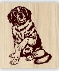 Cute dog