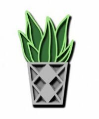 Multilayer cactus