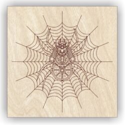 Spider Spider