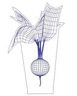 3D illusion led lamp Turnip 3D illusion led lamp Turnip