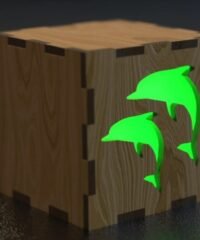 Dolphin cube