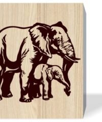 Elephants