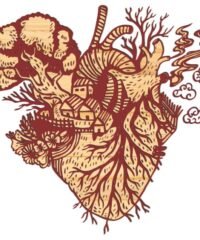 Heart and tree