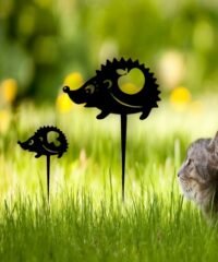Hedgehog garden yard