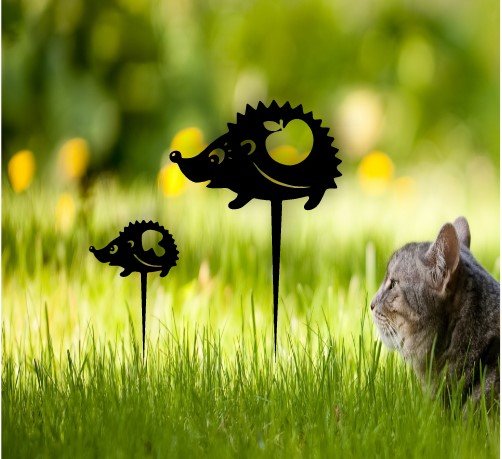 Hedgehog garden yard