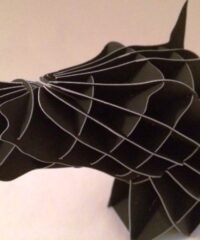 Horse head