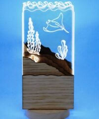 Ocean light