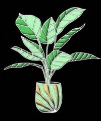 Potted plant