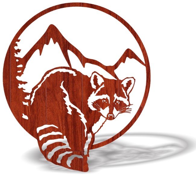 Raccoon