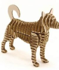 Shiba dog