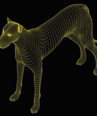 3D illusion led lamp Dog