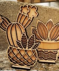 Cactus pot