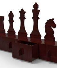 Chess organizer