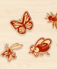 Insect