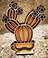 Teacup cactus with stand
