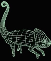 3D illusion led lamp salamander