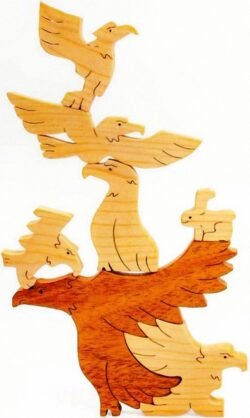 Eagles puzzle