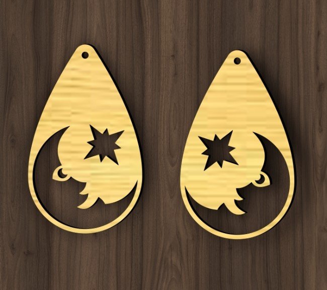 Earrings