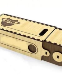 Glasses case