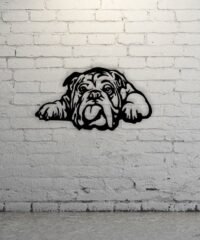 Bull dog wall decor