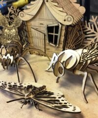 Fly and spider and butterfly