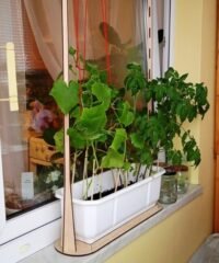 Plant stand