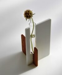 Test tube shelf