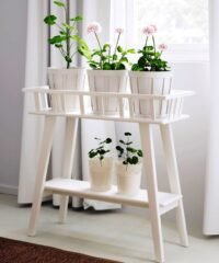 Shelf for flower