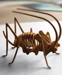 Cricket