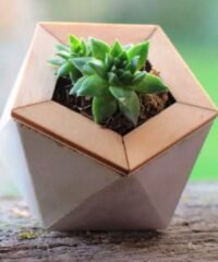 Geometric planters