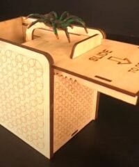 Surprise box