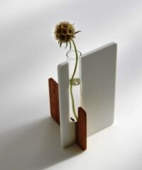 Test tube shelf