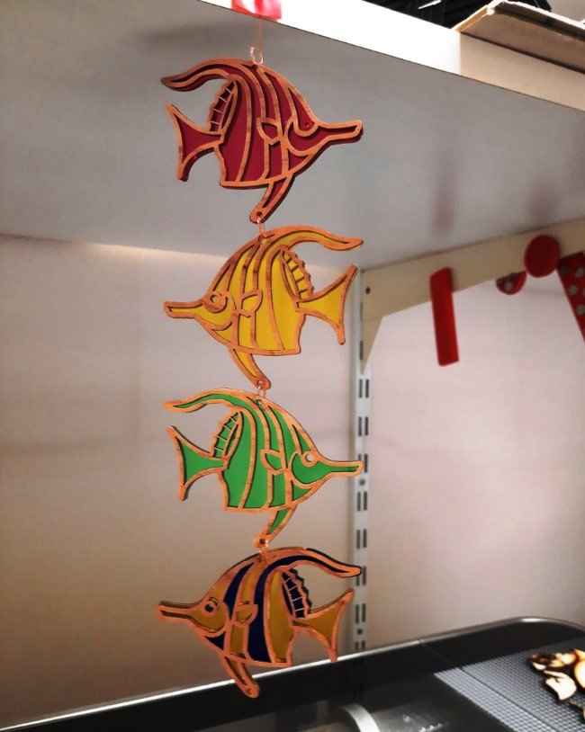 Angelfish final