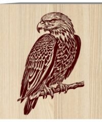 Eagle